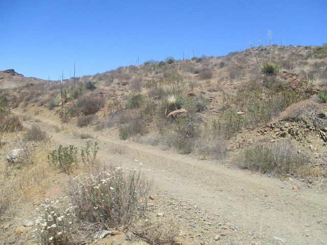28 Hughes, Acton, CA 93510