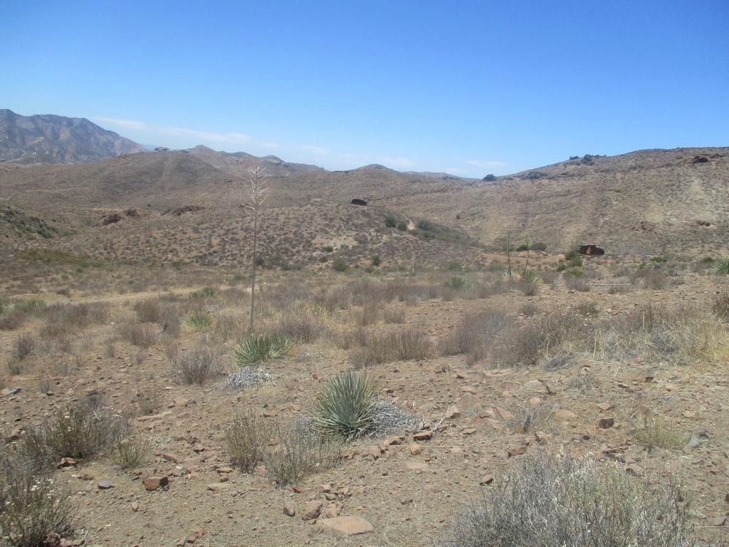Image 22 of property listing at 28 Hughes, Acton, CA 93510
