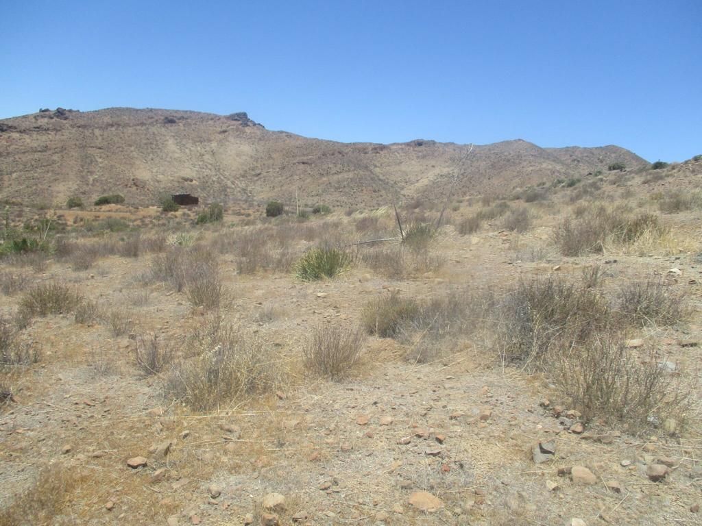 Image 24 of property listing at 28 Hughes, Acton, CA 93510