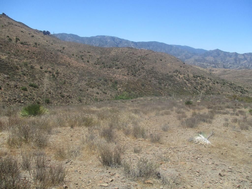 Image 26 of property listing at 28 Hughes, Acton, CA 93510