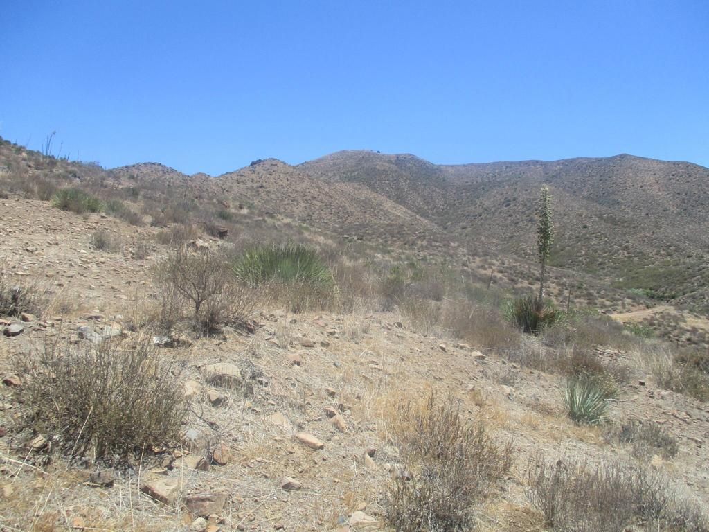 Image 28 of property listing at 28 Hughes, Acton, CA 93510