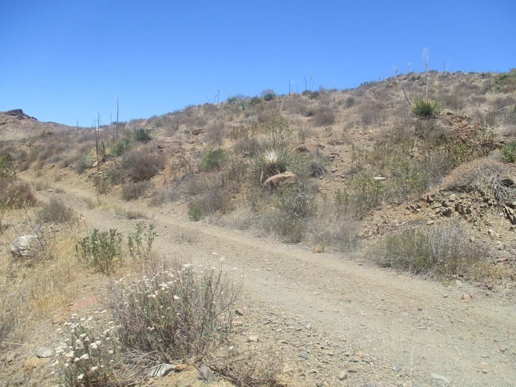 Image 39 of property listing at 28 Hughes, Acton, CA 93510