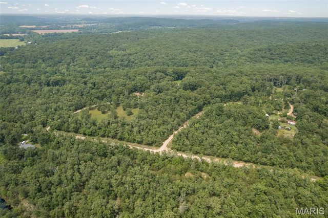 1656 Possum Hollow Road, Farmington, MO 63640
