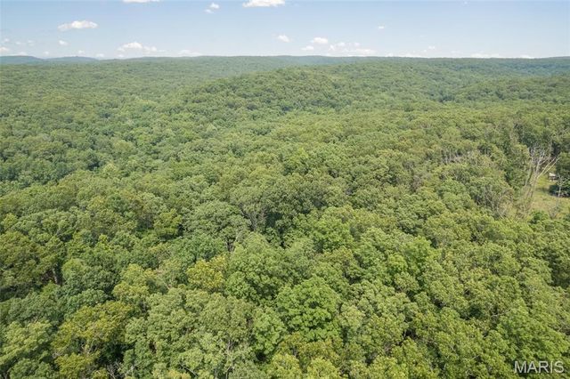 1656 Possum Hollow Road, Farmington, MO 63640