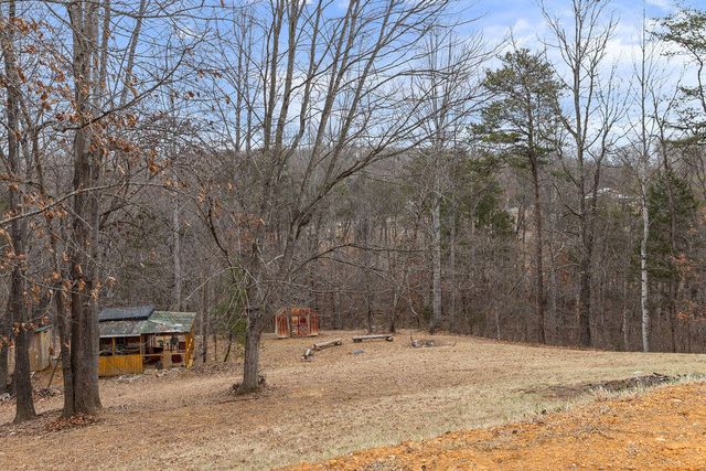 2883 Timber Ridge, Buchanan, VA 24066