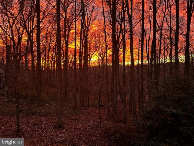 10101 LLOYD RD, Potomac, MD 20854