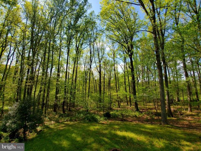 10101 LLOYD RD, Potomac, MD 20854