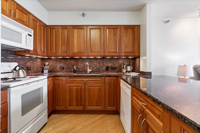 512 N MCCLURG Court 4309, Chicago, IL 60611
