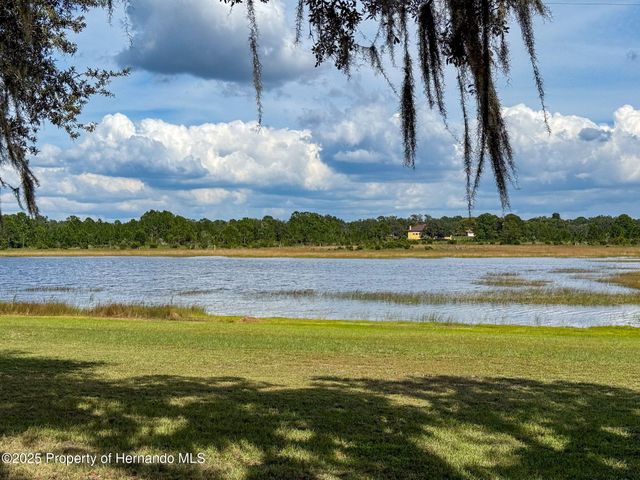 9440 Cougar Drive, Weeki Wachee, FL 34613