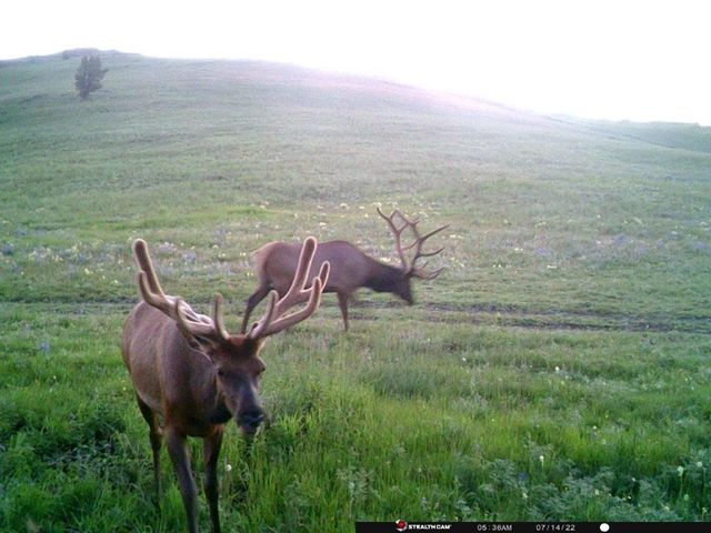 TBD Indian Creek Road, Townsend, MT 59644