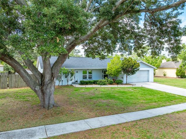 10817 PROVIDENCE OAKS DRIVE, Riverview, FL 33578