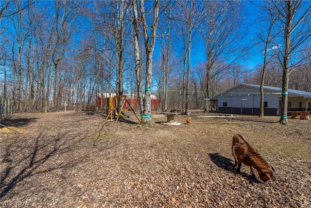 15120 State Route 83 Road, Grafton, OH 44044