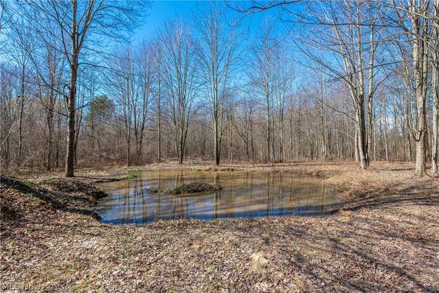 15120 State Route 83 Road, Grafton, OH 44044