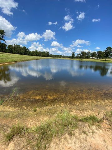 11109 County Road 207, Centerville, TX 75833