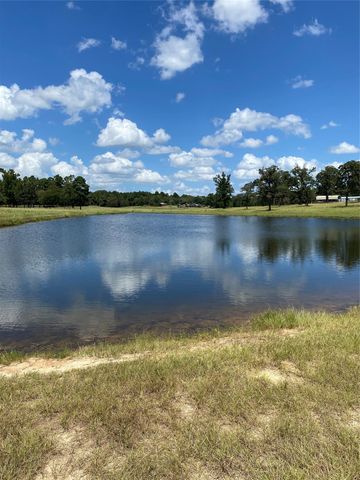 11109 County Road 207, Centerville, TX 75833