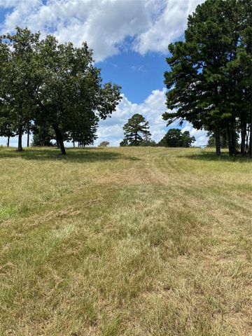 11109 County Road 207, Centerville, TX 75833