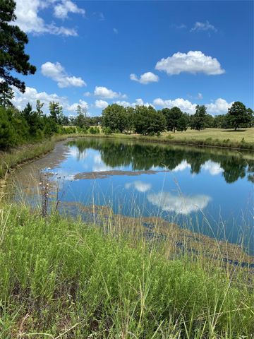 11109 County Road 207, Centerville, TX 75833