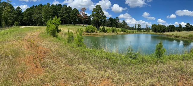 11109 County Road 207, Centerville, TX 75833