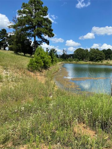 11109 County Road 207, Centerville, TX 75833