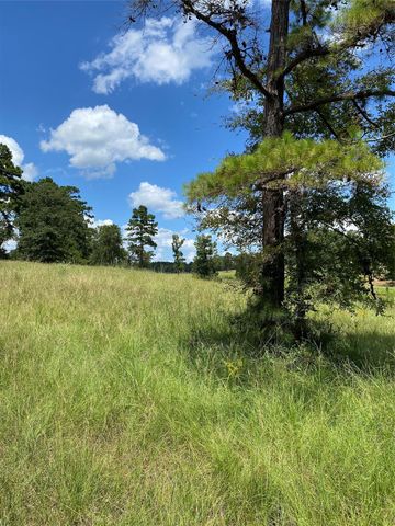 11109 County Road 207, Centerville, TX 75833