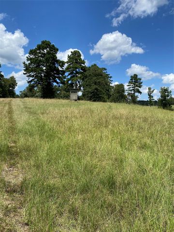 11109 County Road 207, Centerville, TX 75833