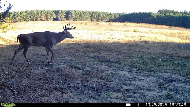 1565 STATE HIGHWAY 71, Sparta, WI 54656