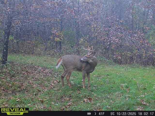 1565 STATE HIGHWAY 71, Sparta, WI 54656