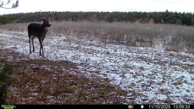 1565 STATE HIGHWAY 71, Sparta, WI 54656