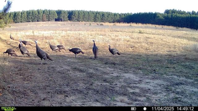 1565 STATE HIGHWAY 71, Sparta, WI 54656