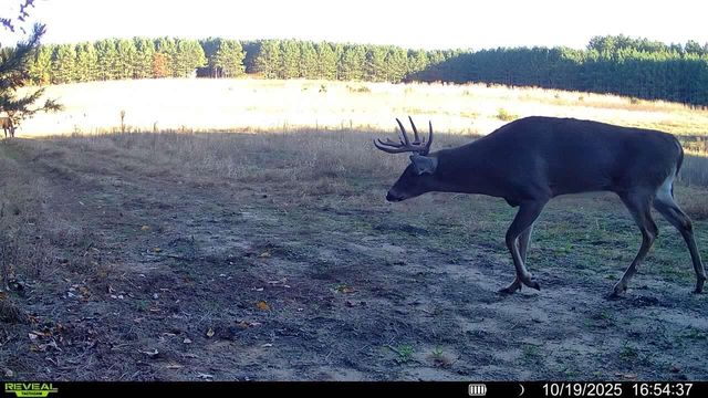 1565 STATE HIGHWAY 71, Sparta, WI 54656