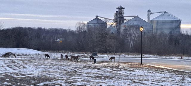 90 Mcdermott COURT, Random Lake, WI 53075