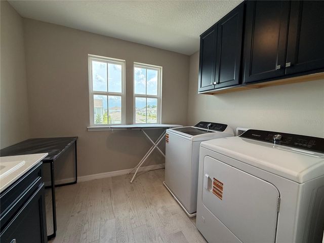 3329 ORANGE ROSE LOOP, Apopka, FL 32712
