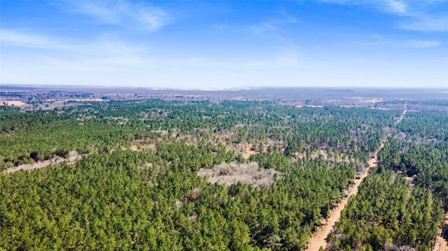 TBD Bo Brown, Trinity, TX 75862