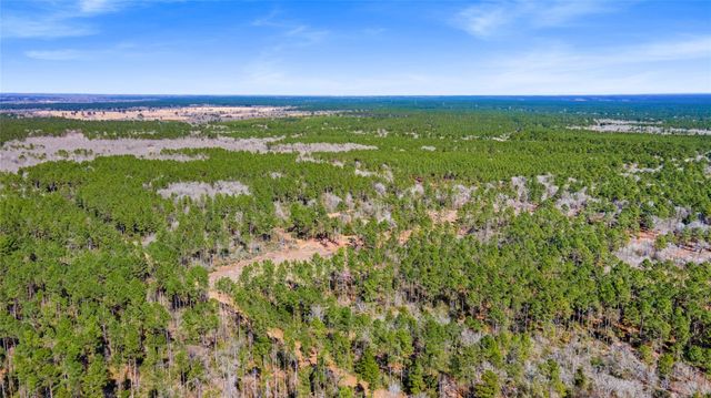 TBD Bo Brown, Trinity, TX 75862