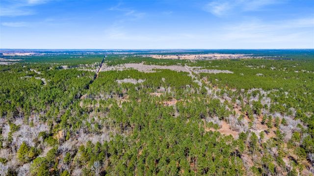 TBD Bo Brown, Trinity, TX 75862