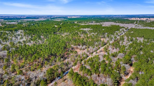 TBD Bo Brown, Trinity, TX 75862