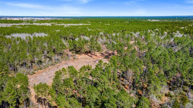 TBD Bo Brown, Trinity, TX 75862