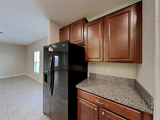 5125 WHITE CHICORY DRIVE, Ruskin, FL 33570