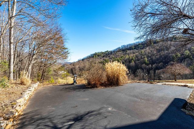 718 Copperhead Hollow Road, Mountain City, TN 37683