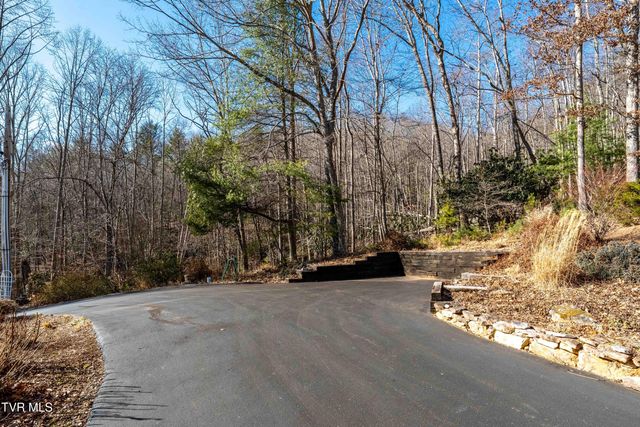 718 Copperhead Hollow Road, Mountain City, TN 37683