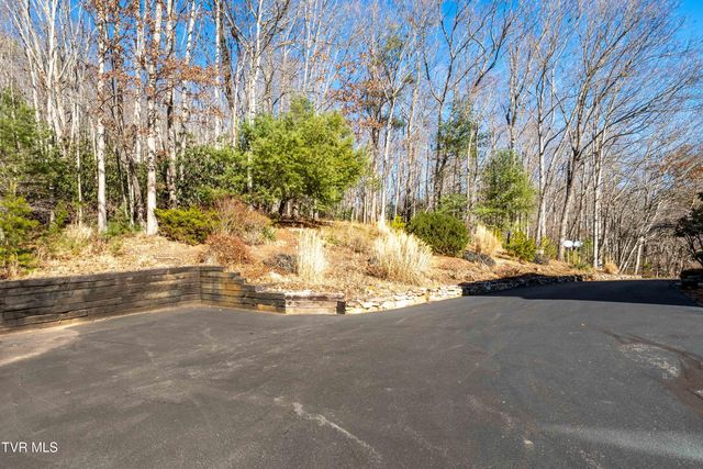 718 Copperhead Hollow Road, Mountain City, TN 37683