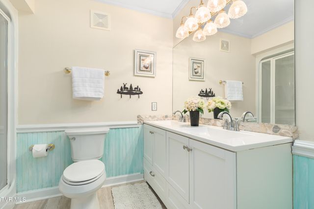 718 Copperhead Hollow Road, Mountain City, TN 37683