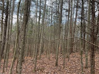 Lot 12 Fisher Valley Road, Dobson, NC 27017