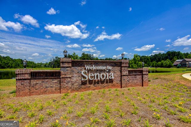5 Renwick Drive, Senoia, GA 30276