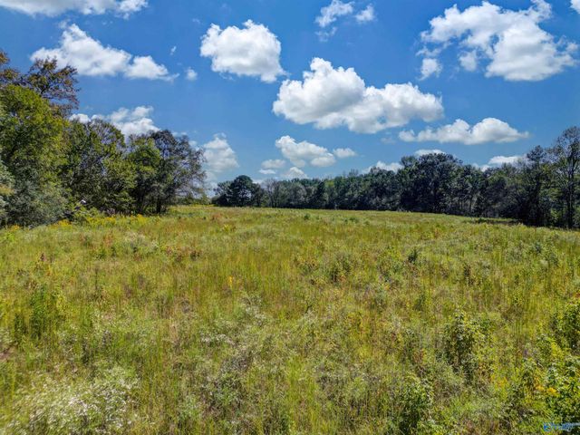 16 acres Holland Road, Horton, AL 35980