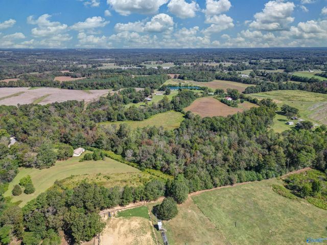 16 acres Holland Road, Horton, AL 35980