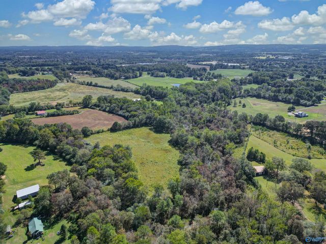 16 acres Holland Road, Horton, AL 35980