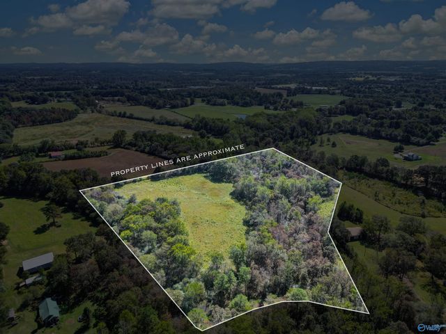 16 acres Holland Road, Horton, AL 35980