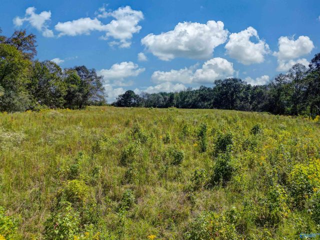 16 acres Holland Road, Horton, AL 35980