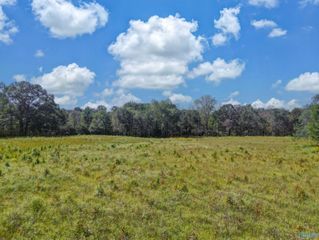 16 acres Holland Road, Horton, AL 35980